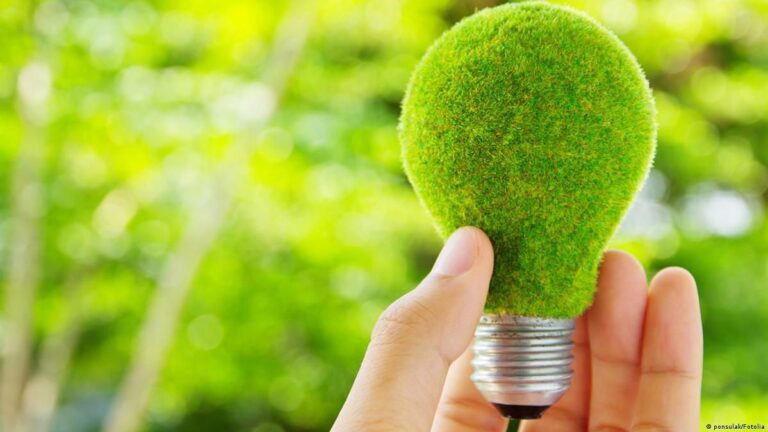 How Green Energy Open Access Is Shaping Indian Economy?