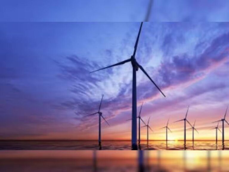 Budget 2024: How budget planning can help promote the growth of renewable energy